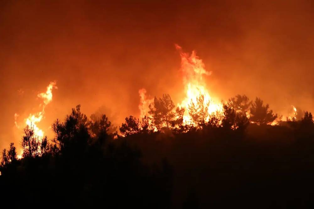 Bursa’da ormanlık alanda yangın çıktı