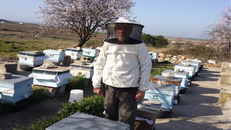 Süne mücadelesi faydalı canlıları tehdit ediyor